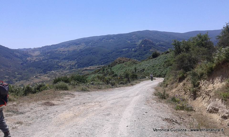 cche del Crasto-04-07-2016 19-24-57